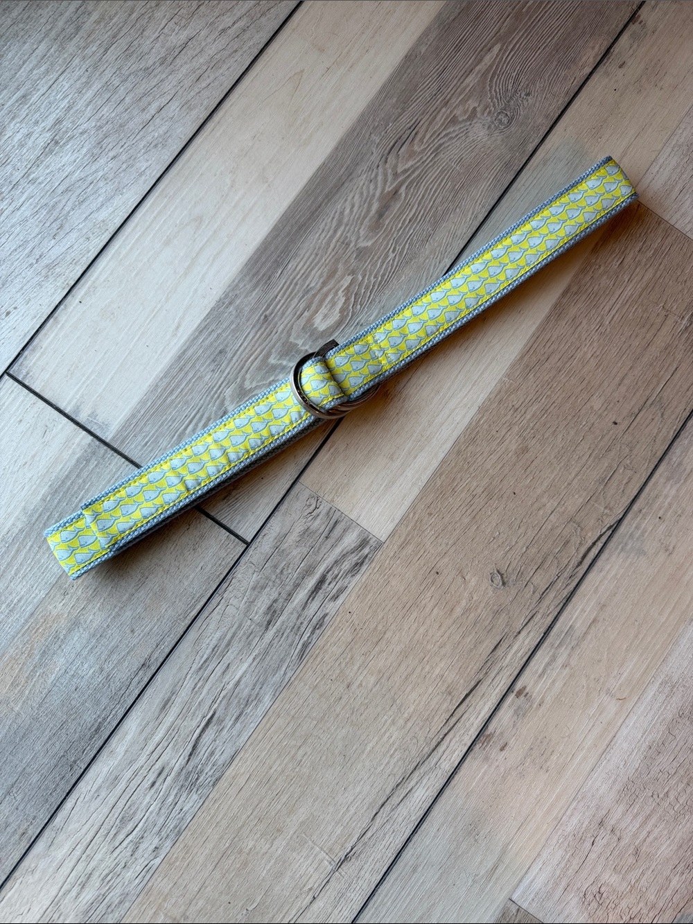 Lime Green and Light Blue Whale Print Belt